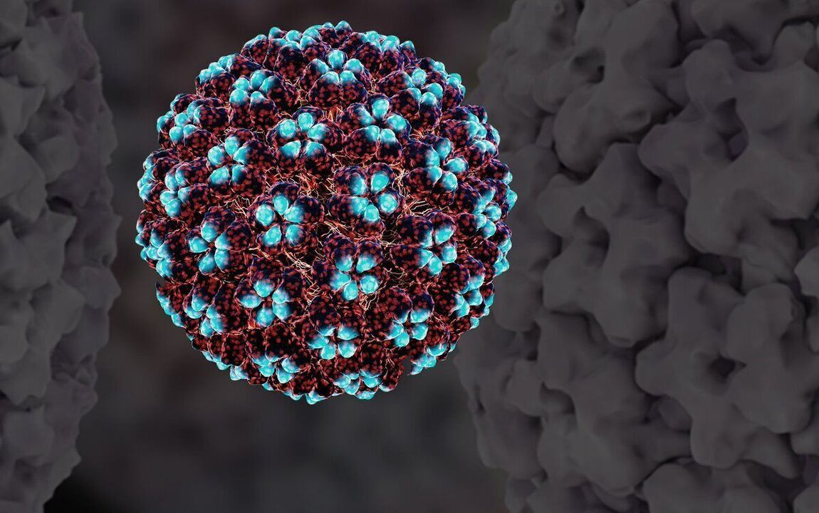 Modelo 3D de HPV